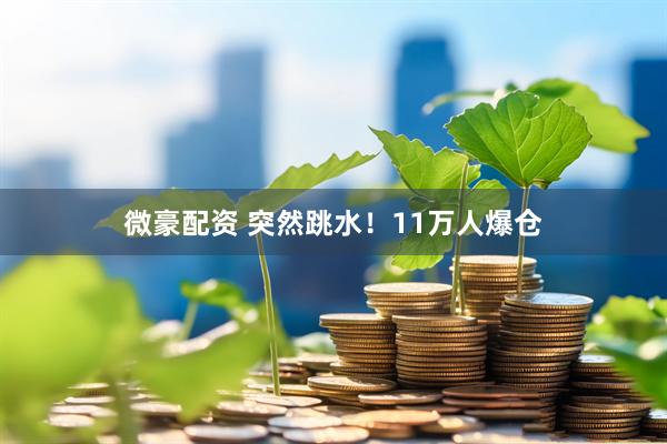 微豪配资 突然跳水！11万人爆仓