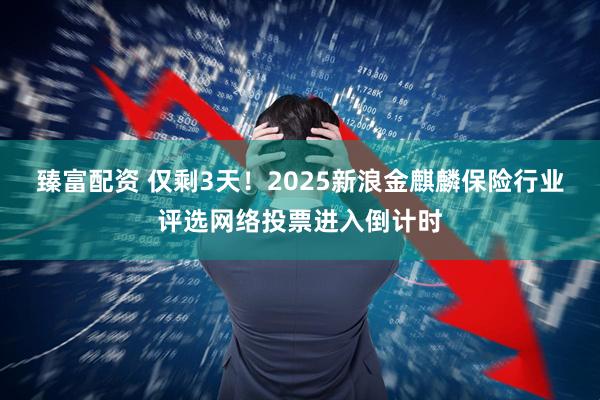 臻富配资 仅剩3天！2025新浪金麒麟保险行业评选网络投票进入倒计时