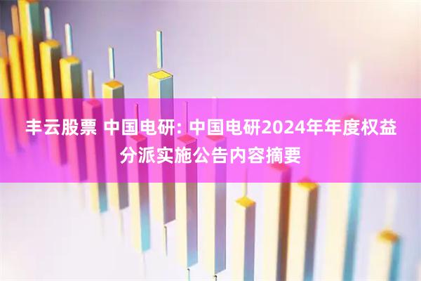 丰云股票 中国电研: 中国电研2024年年度权益分派实施公告内容摘要